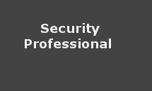 Security professional